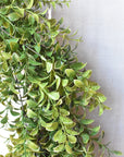 close up faux Variegated boxwood oval wreath on white board background