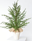 26" Faux Norfolk Tree in Stonemix Pot w/Burlap Root Ball