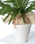 26" Faux Norfolk Tree in Stonemix Pot w/Burlap Root Ball