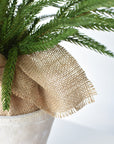 26" Faux Norfolk Tree in Stonemix Pot w/Burlap Root Ball