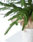 26" Faux Norfolk Tree in Stonemix Pot w/Burlap Root Ball