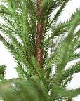 26" Faux Norfolk Tree in Stonemix Pot w/Burlap Root Ball