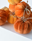 Velvet pumpkins in three warm tones from goldenrod to burnt orange