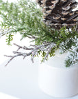 13" Iced Pinecone and Pine in White Ceramic Vase