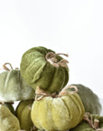Mini velvet pumpkin measuring 2 inches tall and 3 inches wide