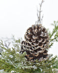 13" Iced Pinecone and Pine in White Ceramic Vase