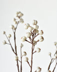 35" Faux Tallow Berry Branch Stem