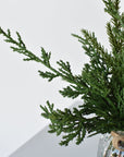 11" Faux Mixed Pine in Glass Vase and Faux Water