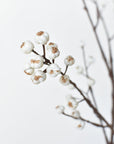 35" Faux Tallow Berry Branch Stem