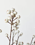 35" Faux Tallow Berry Branch Stem