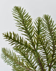 11" Faux Hemloch Stems w/Pinecones in Container with Red Velvet Bow