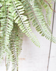 24" Faux Forest Fern Wreath