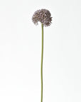 17.5" Faux Purple Allium Spray Stem