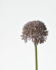 17.5" Faux Purple Allium Spray Stem