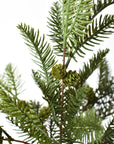 Faux pine bush that splits 4 inches up the stem into five branches