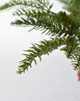 Artificial pine branches with pine cones tucked into the greenery