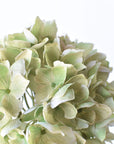 19" Faux Hydrangea Stem Shades of Green