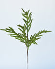 25" Faux Green Norfolk Pine - Cypress Spray Stem