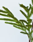 25" Faux Green Norfolk Pine - Cypress Spray Stem