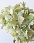 19" Faux Hydrangea Stem Shades of Green