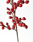 Outdoor red berry branch for urns, wreaths, and winter planters