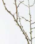 34" Faux Plastic Tree Branch