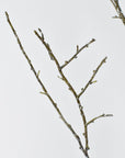 34" Faux Plastic Tree Branch