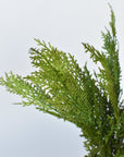17" Realistic Faux Cedar Stem Bundle - 4 Stems - Real Touch