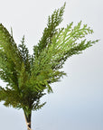 17" Realistic Faux Cedar Stem Bundle - 4 Stems - Real Touch