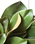 Close-up of faux magnolia wreath leaves with glossy green faces and brown suede undersides