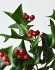 12" Faux Holly Bundle