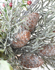 Snowed Berry + Pinecone + Stem - Curated Bundle