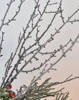 Snowed Berry + Pinecone + Stem - Curated Bundle
