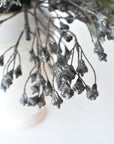 Iced Pod + Pinecone + Greenery - Curated Bundle