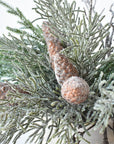 Iced Pod + Pinecone + Greenery - Curated Bundle