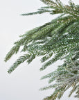 Iced Pod + Pinecone + Greenery - Curated Bundle