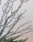 Iced Pod + Pinecone + Greenery - Curated Bundle