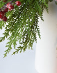 Iced Red Berry + Twig + Cedar - Curated Bundle
