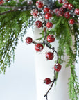 Iced Red Berry + Twig + Cedar - Curated Bundle