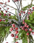 Iced Red Berry + Twig + Cedar - Curated Bundle
