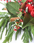 Red Berry + Norfolk Pine + Magnolia - Curated Bundle