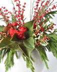 Red Berry + Norfolk Pine + Magnolia - Curated Bundle