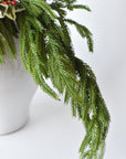 Red Berry + Norfolk Pine + Magnolia - Curated Bundle