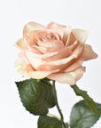 21.5" Faux Subtle Apricot Rose Bud Stem