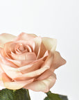 21.5" Faux Subtle Apricot Rose Bud Stem