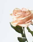 21.5" Faux Subtle Apricot Rose Bud Stem