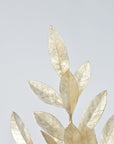 23" Faux Gold Capiz Bay Leaf Stem
