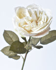 25" Faux English Rose Vintage Cream