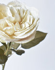 25" Faux English Rose Vintage Cream