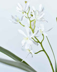 16" Faux Mini Orchid Stem with Leaves and Roots